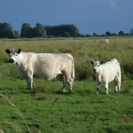 Fjordgestuet דירה Suderstapel